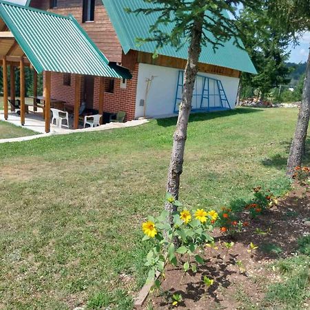 House In Forest Zabljak  Luaran gambar