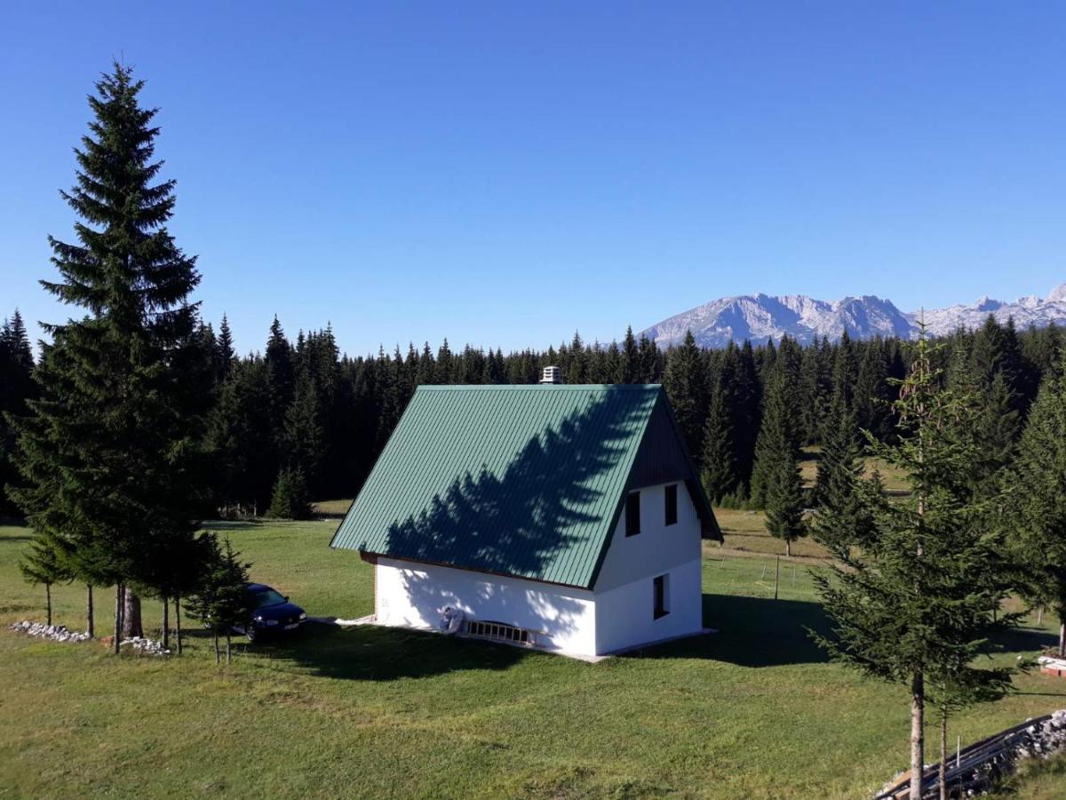 House In Forest Zabljak  Luaran gambar
