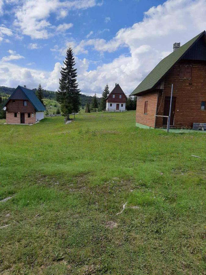 House In Forest Zabljak  Luaran gambar