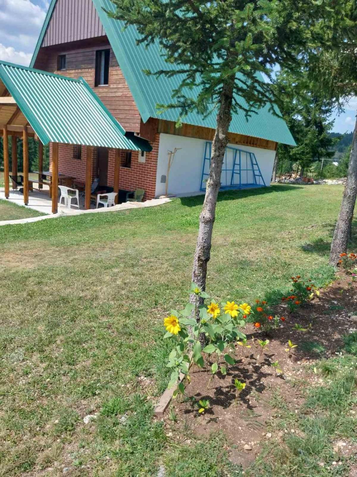 House In Forest Zabljak  Luaran gambar