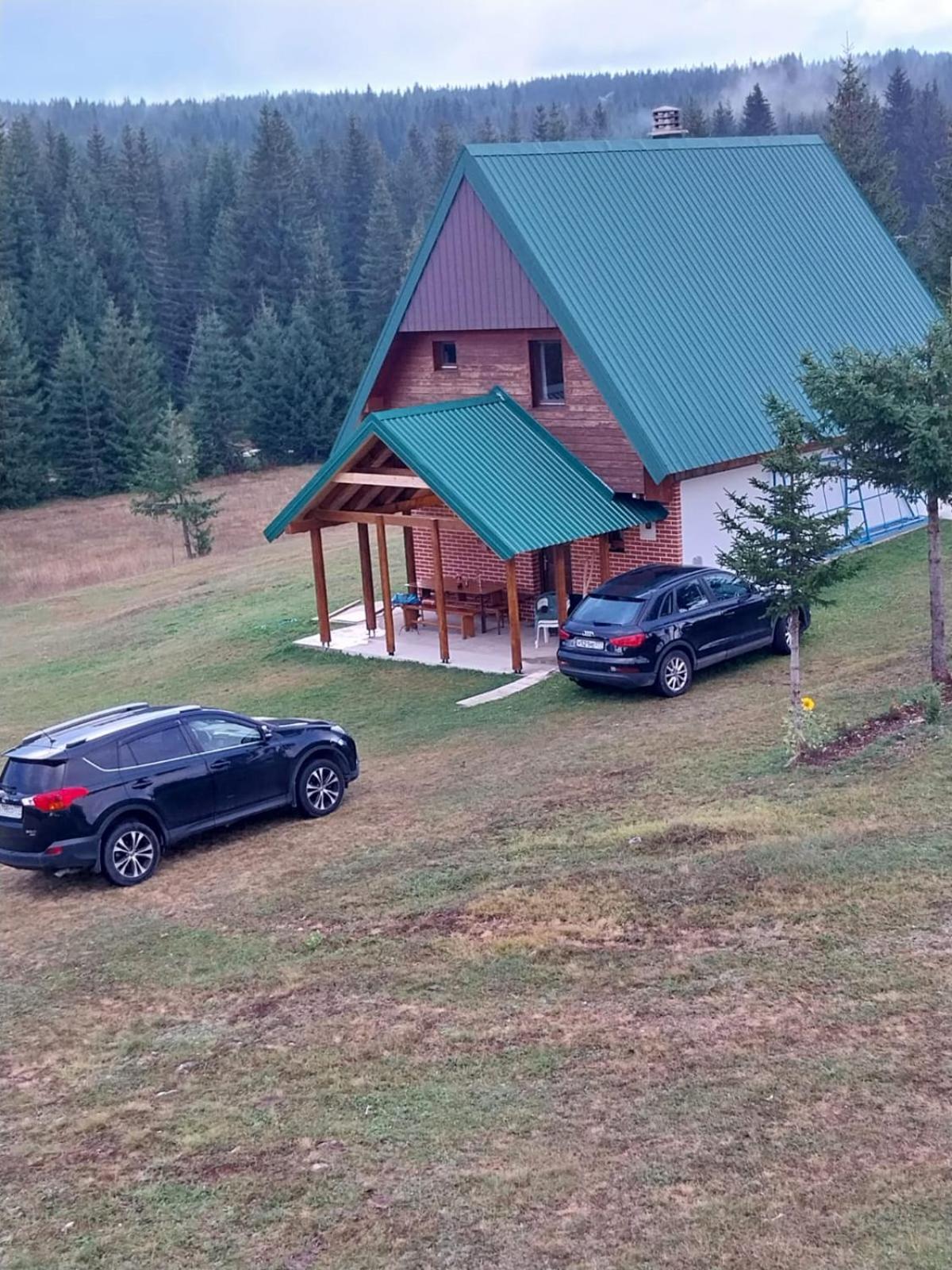House In Forest Zabljak  Luaran gambar