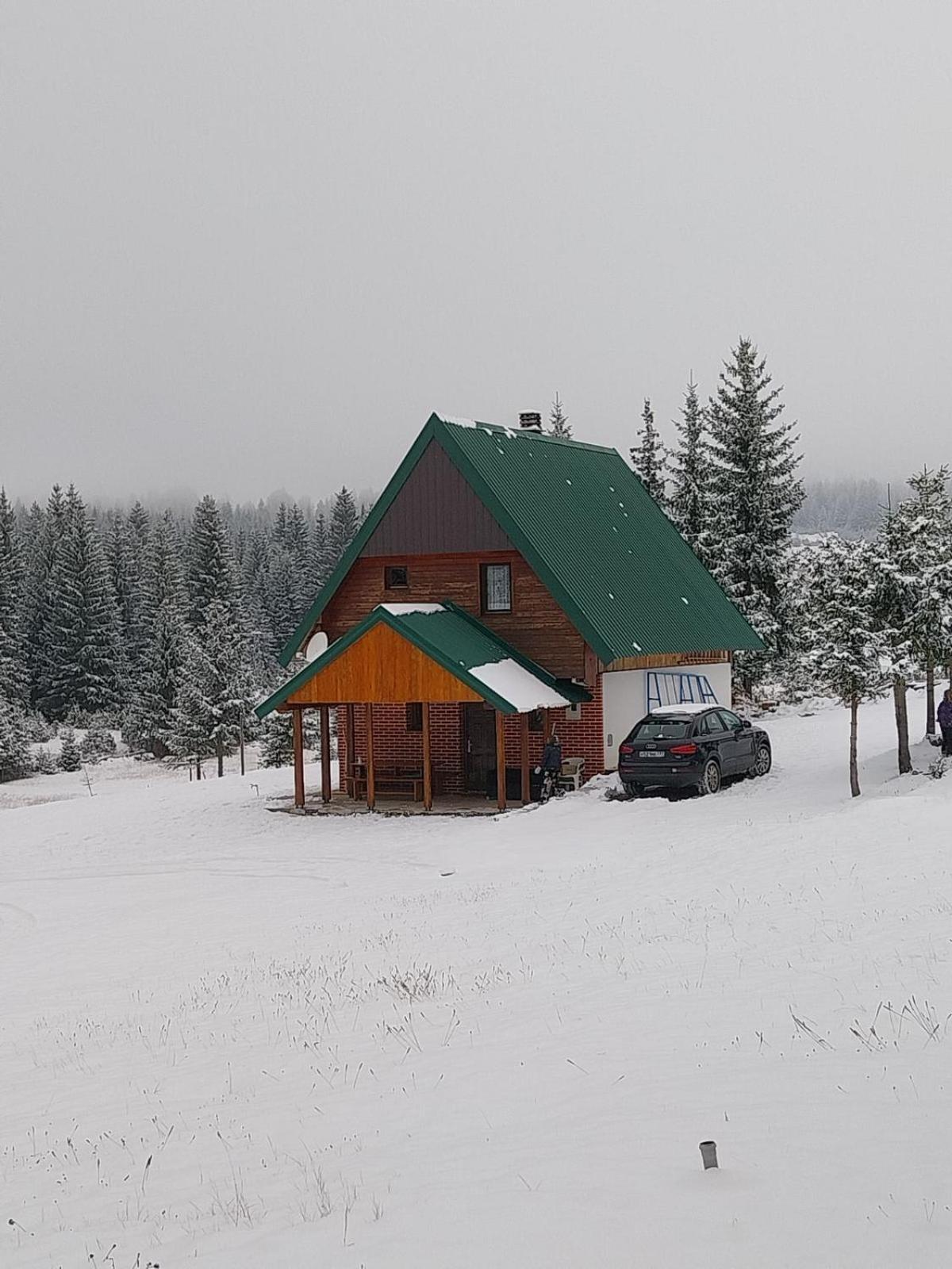 House In Forest Zabljak  Luaran gambar