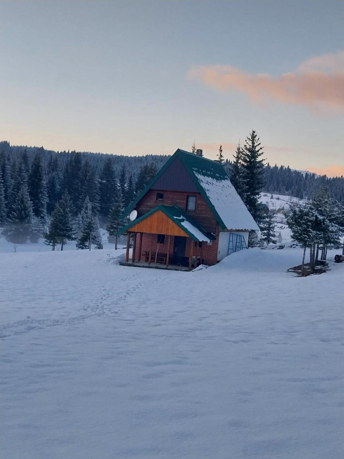 House In Forest Zabljak  Luaran gambar