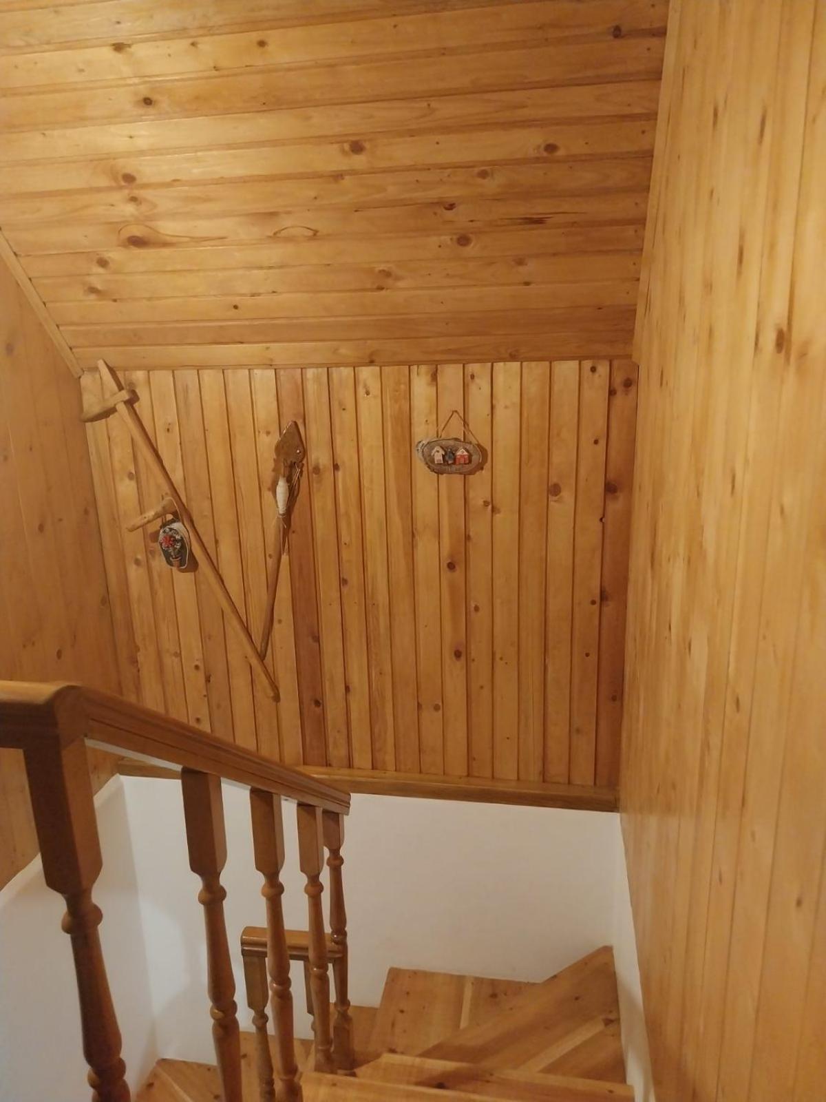 House In Forest Zabljak  Luaran gambar