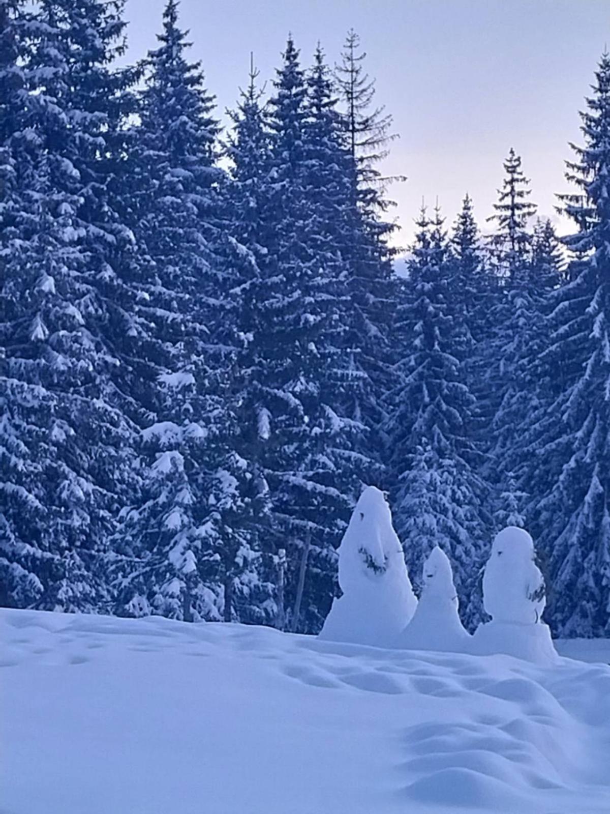 House In Forest Zabljak  Luaran gambar