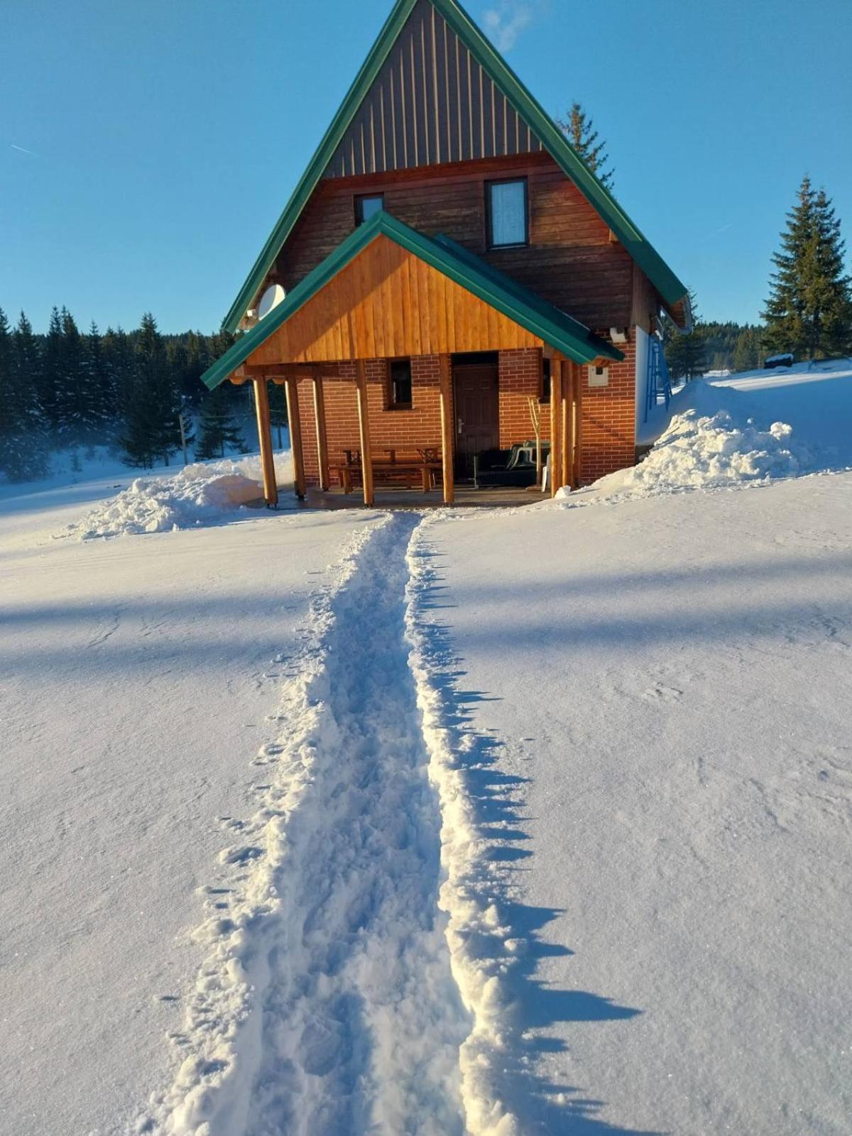 House In Forest Zabljak  Luaran gambar