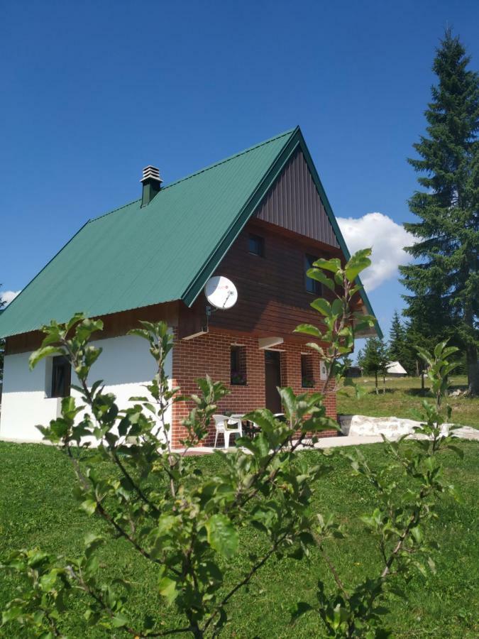 House In Forest Zabljak  Luaran gambar