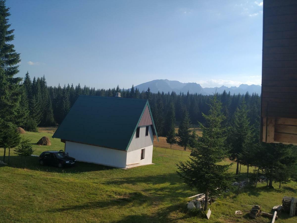House In Forest Zabljak  Luaran gambar