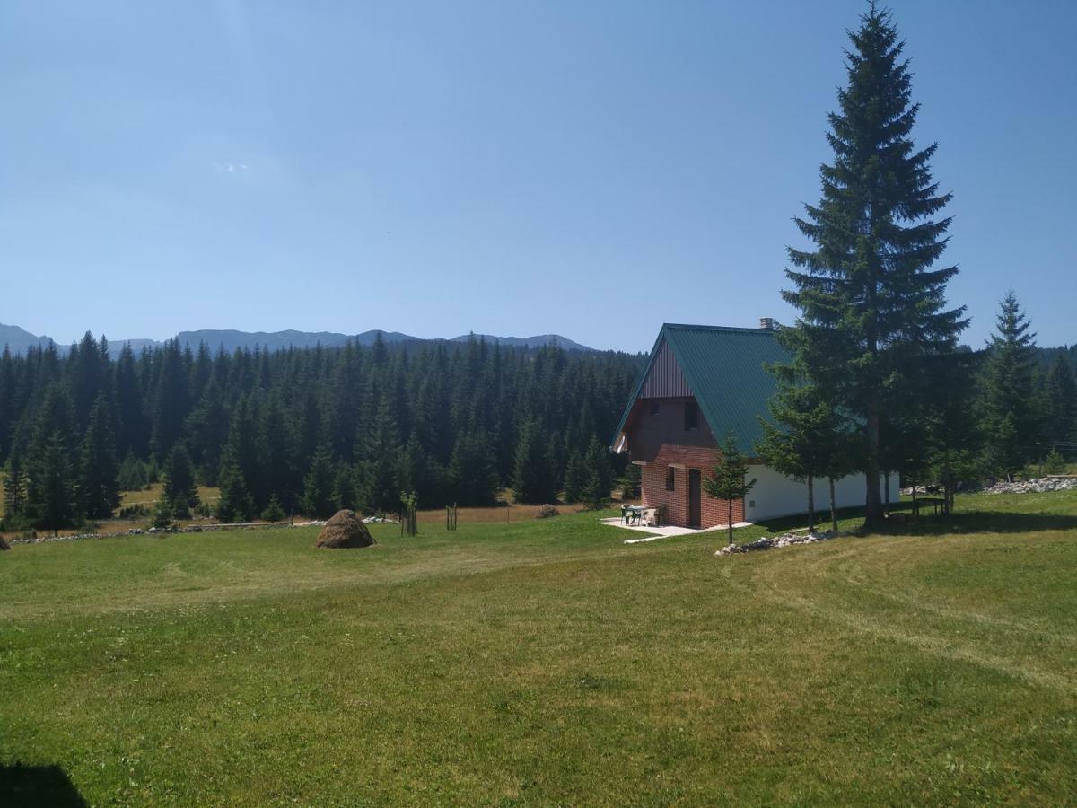 House In Forest Zabljak  Luaran gambar