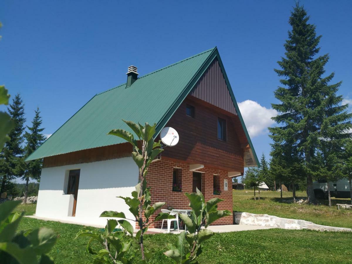 House In Forest Zabljak  Luaran gambar