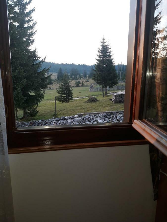 House In Forest Zabljak  Luaran gambar